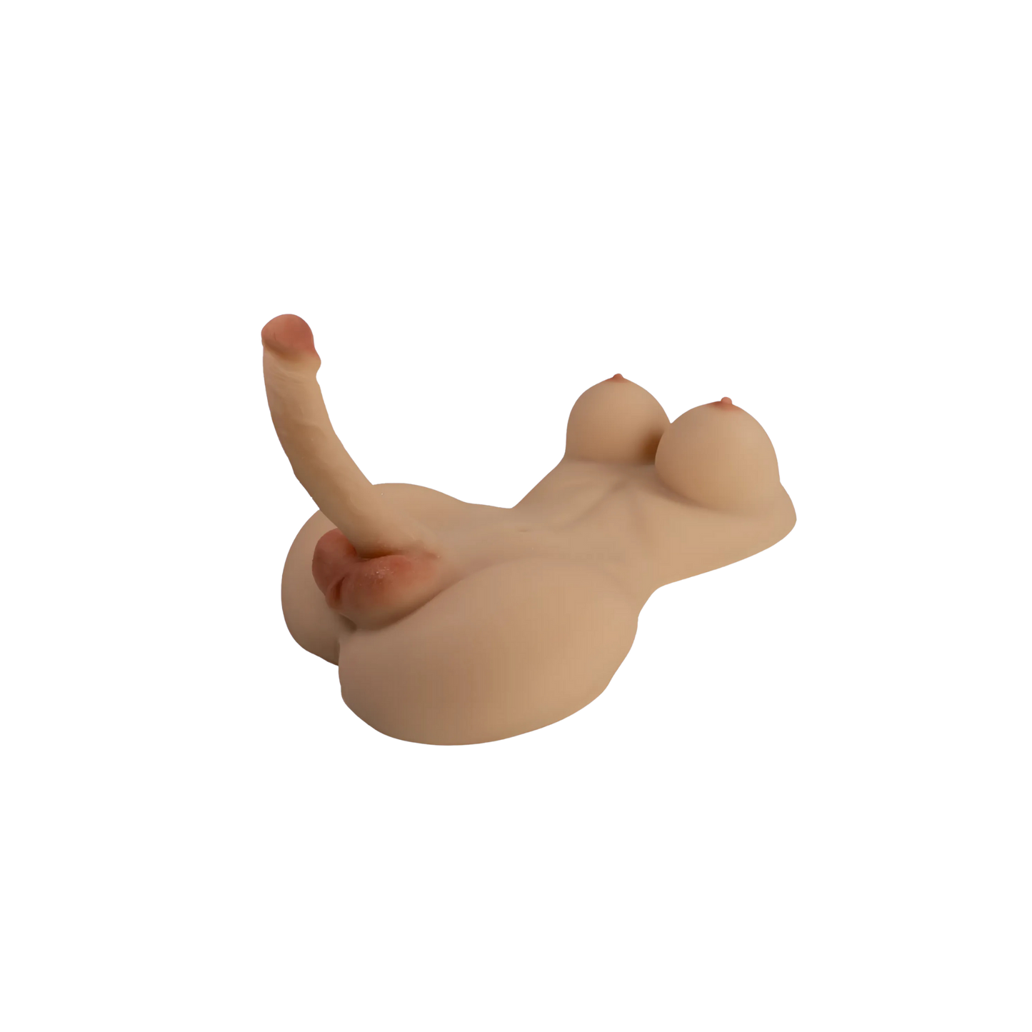 Torso Transexual Rupol